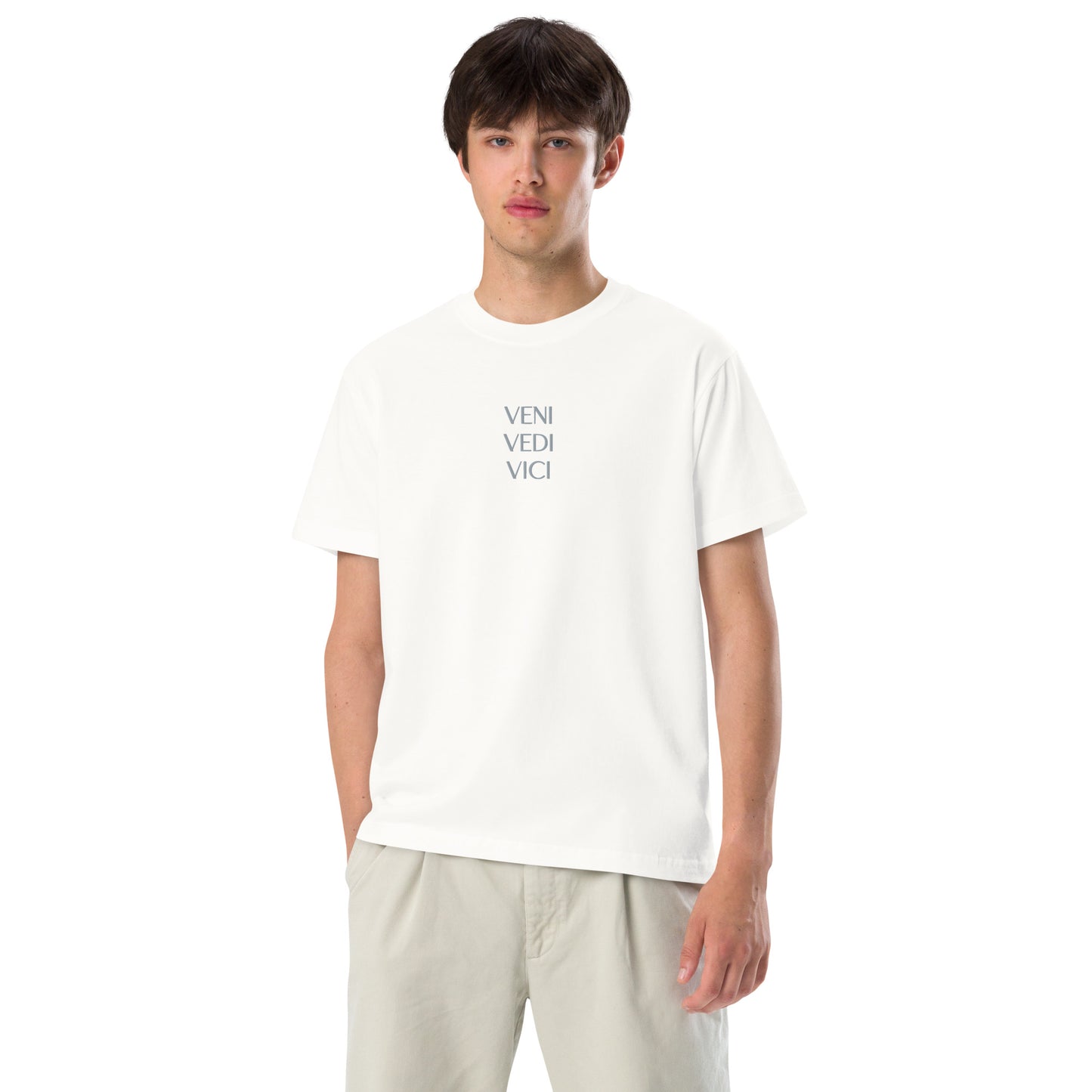 VENI VEDI VICI Unisex Lightweight Cotton T-shirt