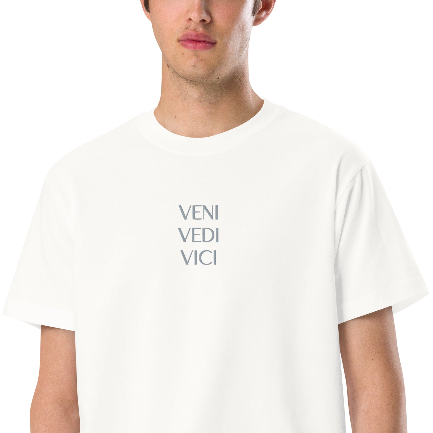 VENI VEDI VICI Unisex Lightweight Cotton T-shirt